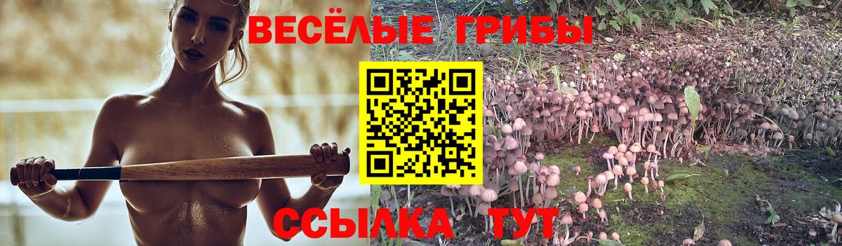 Бирск  Псилоцибиновые грибы прущие грибы  Псилоцибиновые грибы ЛСД  купить закладку  Вход с VPN 