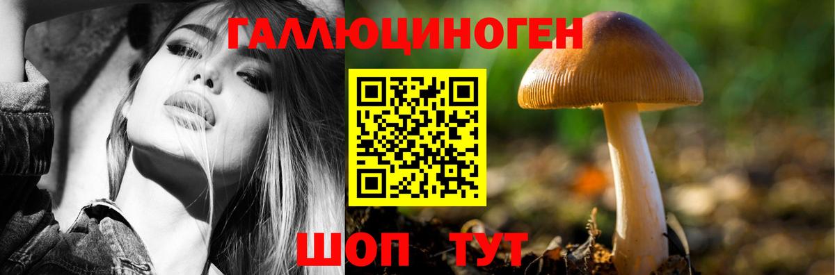 Галлюциногенные грибы ЛСД Бирск